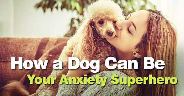 Post image of How a Dog Can Be Your Anxiety Superhero
