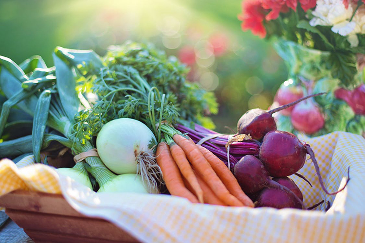 Five Simple Ways to Eat a More Humane and Healthy Menu